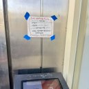 캘리와 함께 | 대전 피자 맛집 선화동 캘리캘리 웨이팅 후기