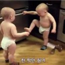 쌍둥이 이미지