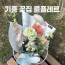 륜플레르