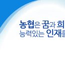 최신 농협 채용 정보 2019년 10월 22일 기준