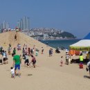 해운대 - 해운대구 세실로69번길 15 | 해운대