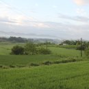 선자농장2 이미지