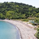 신수도 대구동 이미지