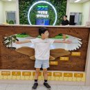 경기북부야생동물구조관리센터 | 경기북부야생동물구조관리센터 체험장 예약방법