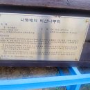 나루터로1-5 이미지