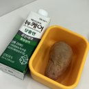 3월 2주차 - 생일날 출장가기, 생일휴가 쓰고 경주당일치기여행, 자취 3년만에 티비 생긴 일주일