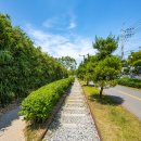 포항철길숲 이미지