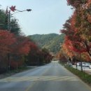 산모롱이전통찻집 이미지