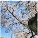 홈런공인중개사사무소 이미지