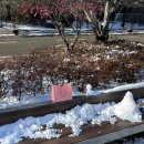 (주)코리아세븐 화정누리점 | 겨울이 끝나가고 있나요?