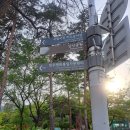 장충세탁소 | 청계천 주차장 내돈내산 추천 및 장충공원 야경 나들이