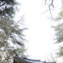 상주 남장사 일주문 이미지