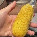 (주)골드오션 이미지