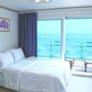 바다비행사 이미지