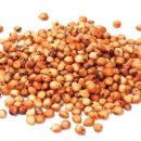 수수국수 이미지