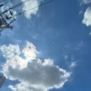 비디자인 네이버블로그