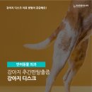 인방동물의료센터 네이버블로그