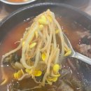 [순천맛집] 미풍해장국 순천점 순천국가정원 맛집 선지해장국 내돈내산 솔직후기