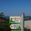 접도수산 | 접도 남망산 웰빙등산로 종주