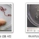 고래식품 이미지