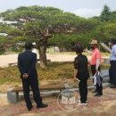 철마초등학교 이미지