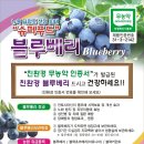 도곡농원 이미지