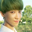 그린헤어 이미지