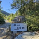 다옴 캠핑장 이미지