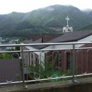 도계3리 이미지