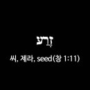 H2233 | 창세기 1장 11절, 씨(זֶרַע, 제라, seed) - 히브리어 원어