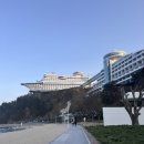 와우크루즈 | 강릉여행| 정동진 썬크루즈 리조트 숙박 후기
