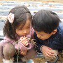 안동2리 이미지