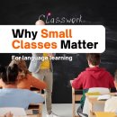 At Enhance Education - Strong language skills are built through attention 이미지