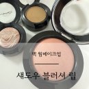 스윗쏘울 | 가을웜톤메이크업 | 맥언니가 직접 추천해준 조합 맥 소바 스윗히트 웜소울 쉬시어 후기