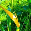 덕연농장 이미지