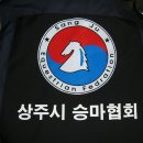 서울국기사