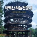 태백산 | 태백산 하늘전망대, 유모차 없어서 아쉬웠던 후기