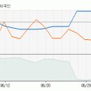 신텍 이미지