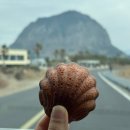 꼬망 | 제주 버터떡 맛집 카페 꼬망 내돈내산 후기