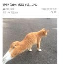 참 이미지