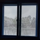 유성여고 화장실 | 유성여고 기숙사의 모든 것! (위치, 통금, 규칙, 인원수, 면학분위기, 냉장고, 전자렌지, 샤워)