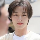 하연 이미지
