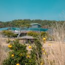 효돈순환로 이미지