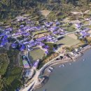 신안세탁 이미지