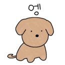 쎈미용실 이미지
