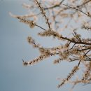 다산나정 이미지