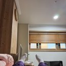 포항여성병원 자연분만 / 산후병동 후기