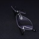 가우스안경 이미지