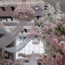 밝은홀 본식 아이폰스냅 로앤제이 할인방법&계약후기 (✨️짝꿍할인)