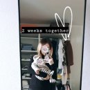 안나 이미지